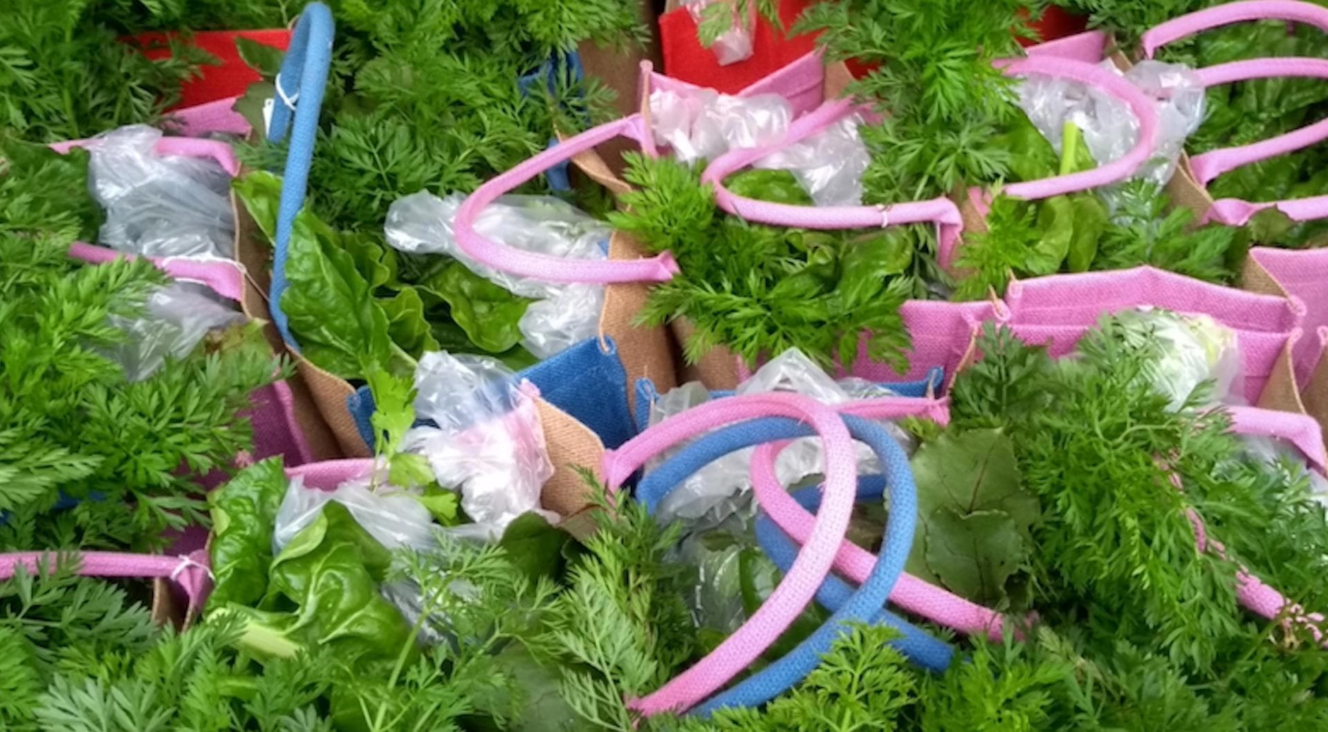 Wellington Community Food
