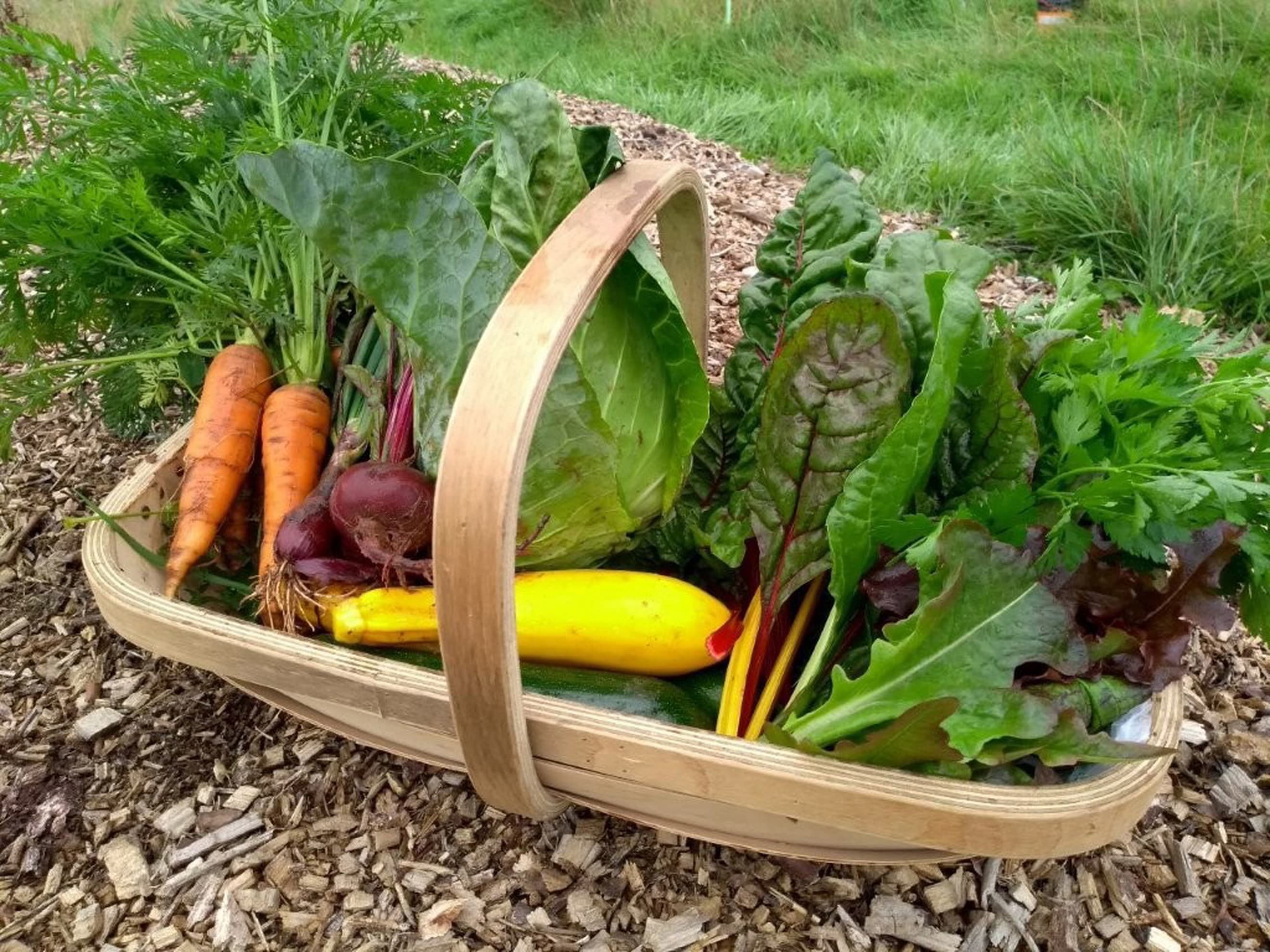Deposit: Large Crop Share, 26 weeks @ £19.50/week (total £507.00)