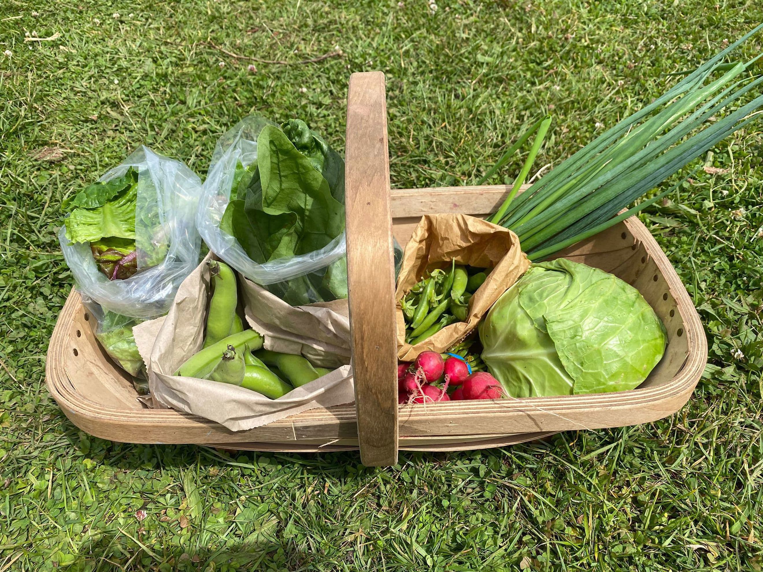 Deposit: Small Crop Share (rest of the season, £12.00 per week)